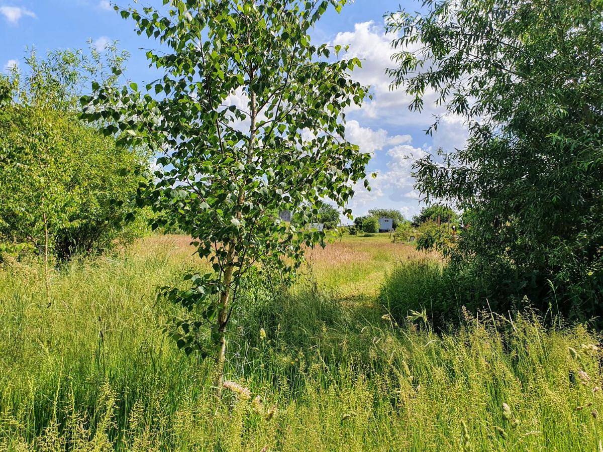 Ganze Wohnung, Holiday Home in Carinerland, Neubukow-Salzhaff