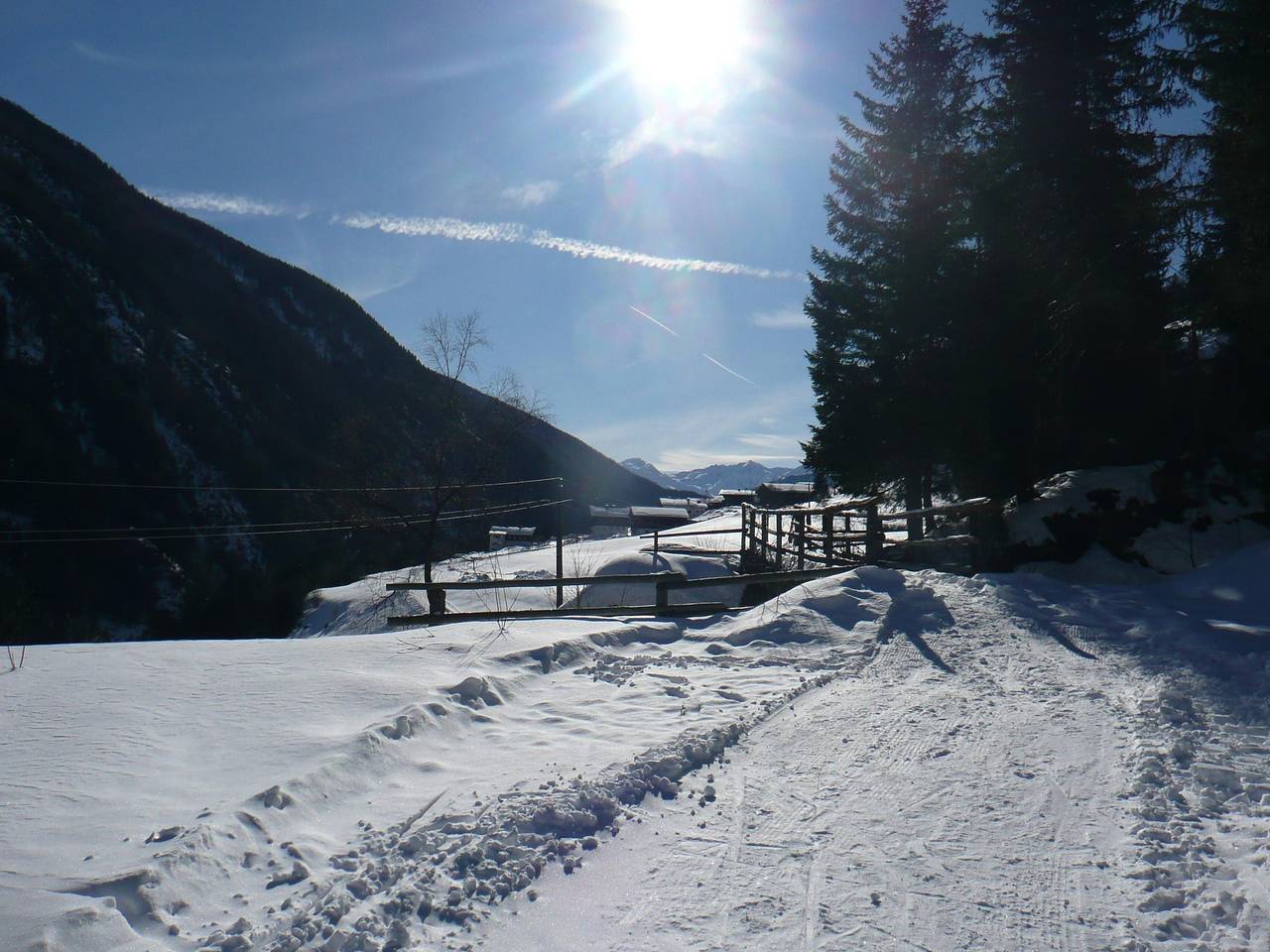 Zimmer Baum in Kals am Großglockner, Osttirol