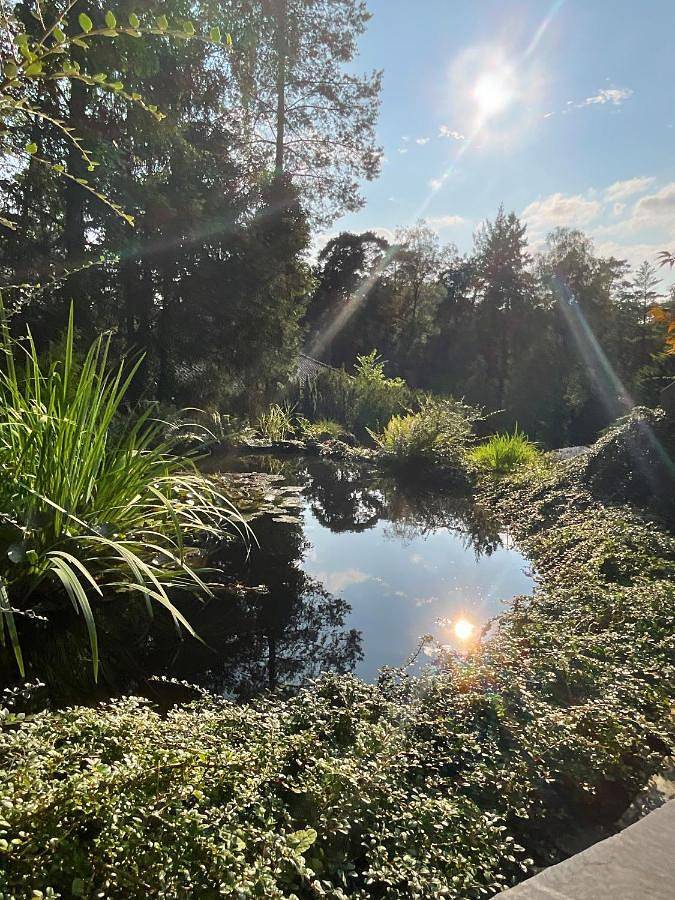 Ferienwohnung für 2 Personen, mit Ausblick und Garten in Buchholz in der Nordheide - 2