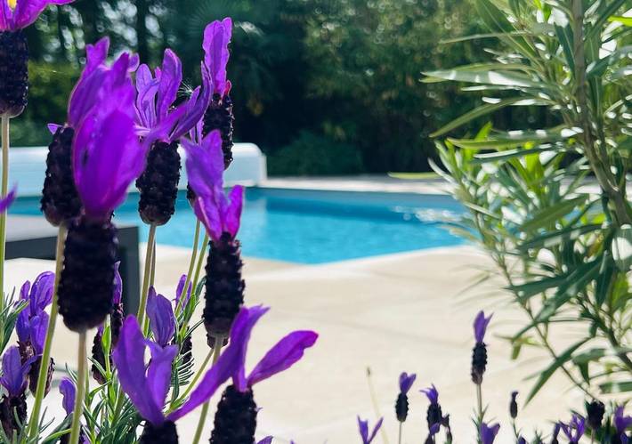 Location de vacances pour 6 personnes, avec piscine et jardin à Le Pian-Médoc - 2
