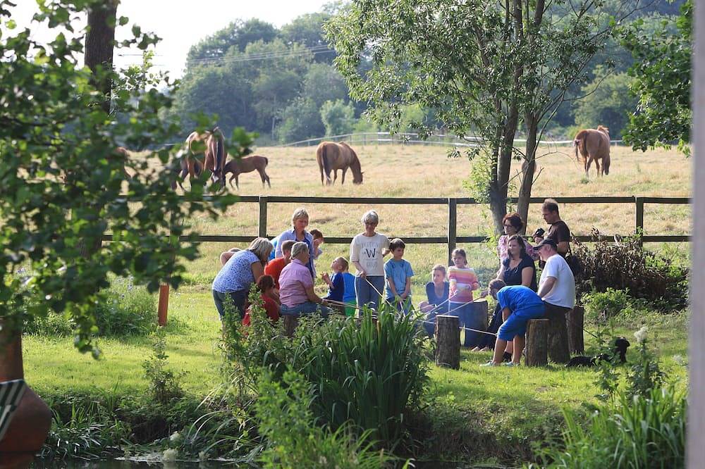 Ganze Wohnung, Hof Eckhorst, Toskana in Güby, Rendsburg-Eckernförde