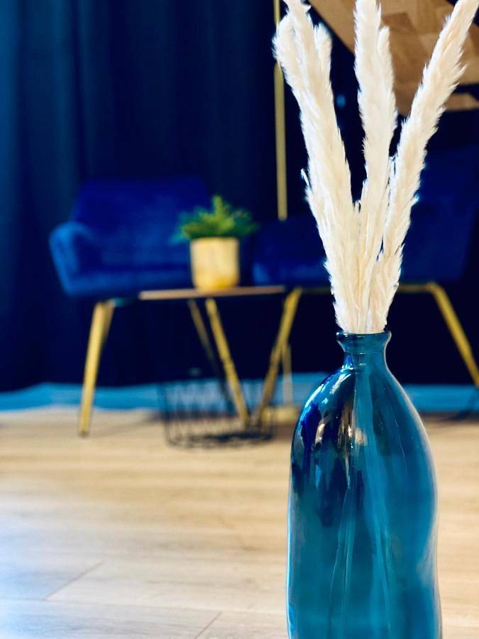 Appartement entier, One-Bedroom Apartment in Montigny-lès-Metz, Metz-Campagne