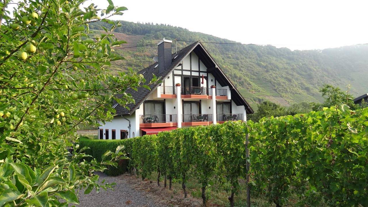 Haus Weingarten Appartements-Zimmer in Ernst, Cochem-Zell