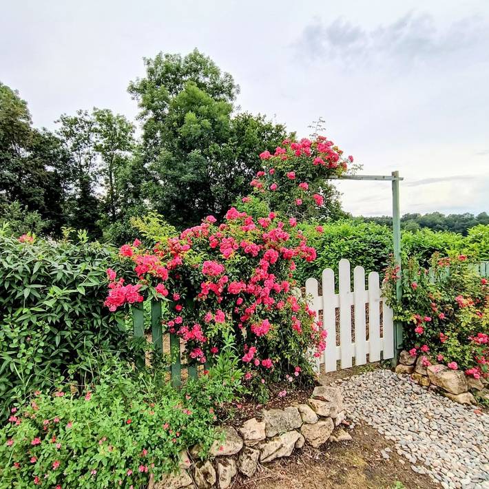 Gîte pour 2 personnes, avec jardin et jacuzzi dans Haute-Garonne - 3