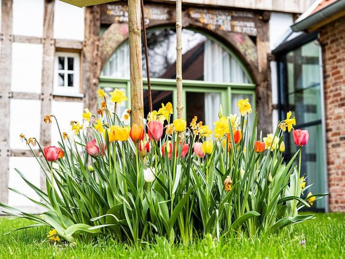 Ferienhaus für 5 Personen, mit Terrasse und Sauna in Versmold