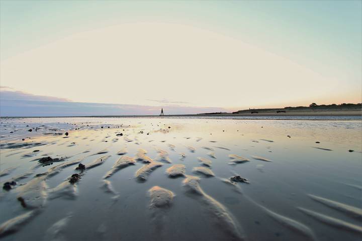 Ferienhaus für 4 Personen, mit Garten, mit Haustier in Elbe-Weser - 2