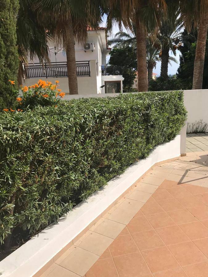 Gîte pour 4 personnes, avec jardin ainsi que vue et piscine dans Oróklini - 3