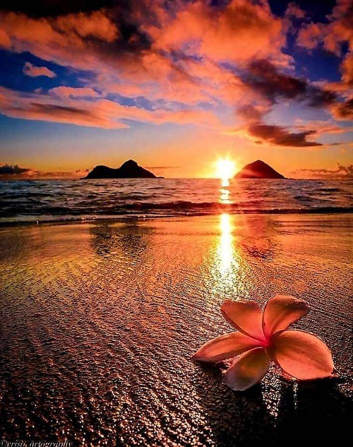 Appartement de vacances pour 6 personnes, avec jardin et vue, adapté aux familles