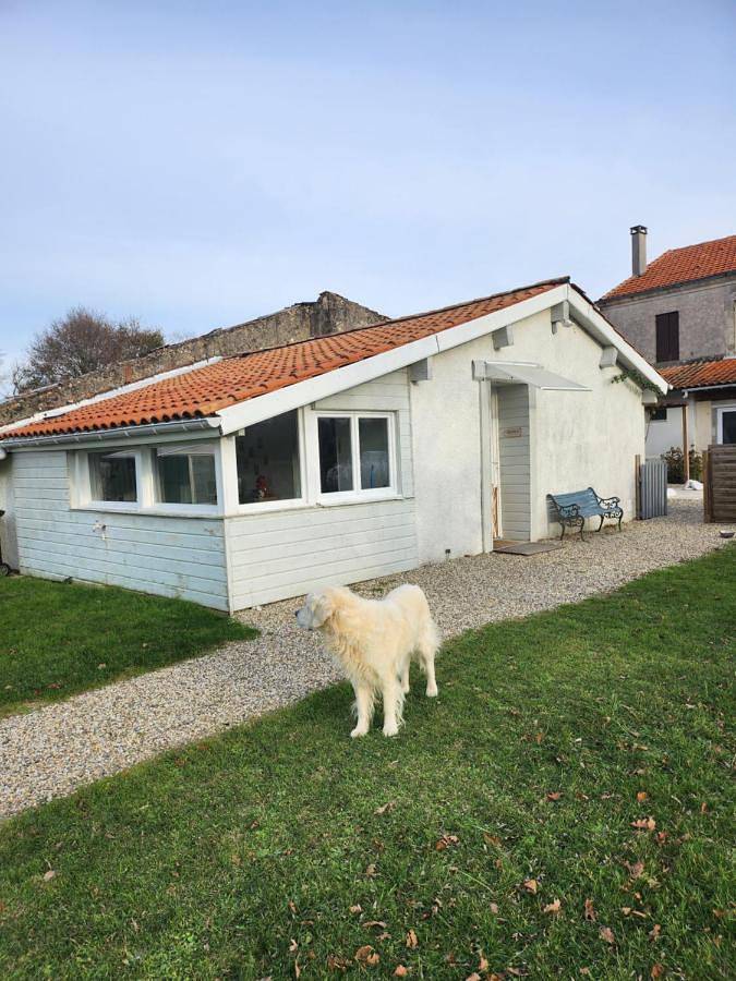 Location de vacances pour 4 personnes, avec terrasse, animaux acceptés à Saint-Vivien-de-Médoc - 3