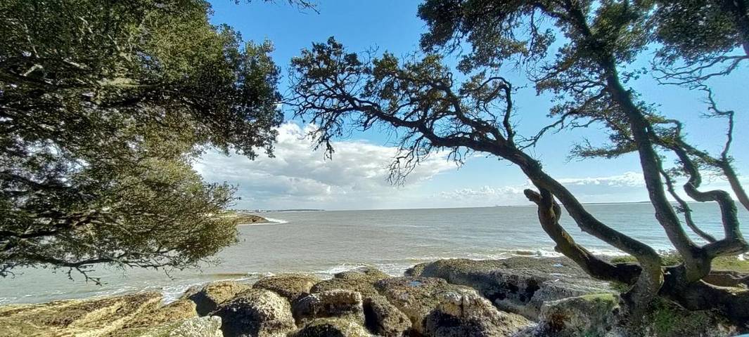 Location de vacances pour 2 personnes, avec Terrasse et Jardin à Saint-André-de-Lidon