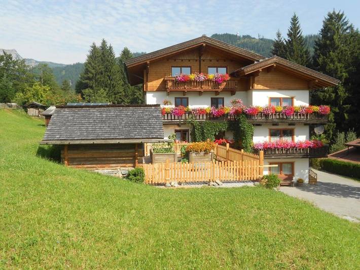 Ferienwohnung für 5 Personen, mit Garten und Ausblick in Bischofshofen - 2