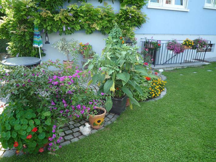 Gîte pour 2 personnes, avec jardin dans Parc naturel régional des Vosges du Nord - 2