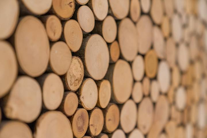 Pension für 2 Personen, mit Garten und Ausblick im Oberallgäu - 3