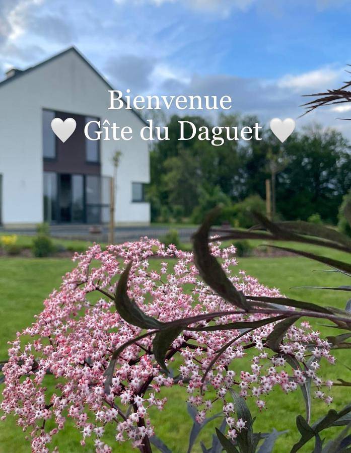 Location de vacances pour 8 personnes, avec Terrasse ainsi que Jardin et Vue à Florenville