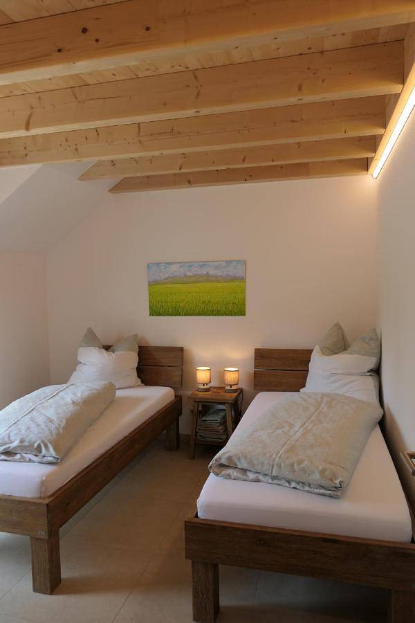 Ganze Wohnung, Ferienwohnung, 2 Zimmer, 4 bis 6 Personen, 67 qm, mit großem Balkon, entlang am Fluss, an der Aach, am Bodensee, nah am Naturschutzgebiet in Singen, Hegau
