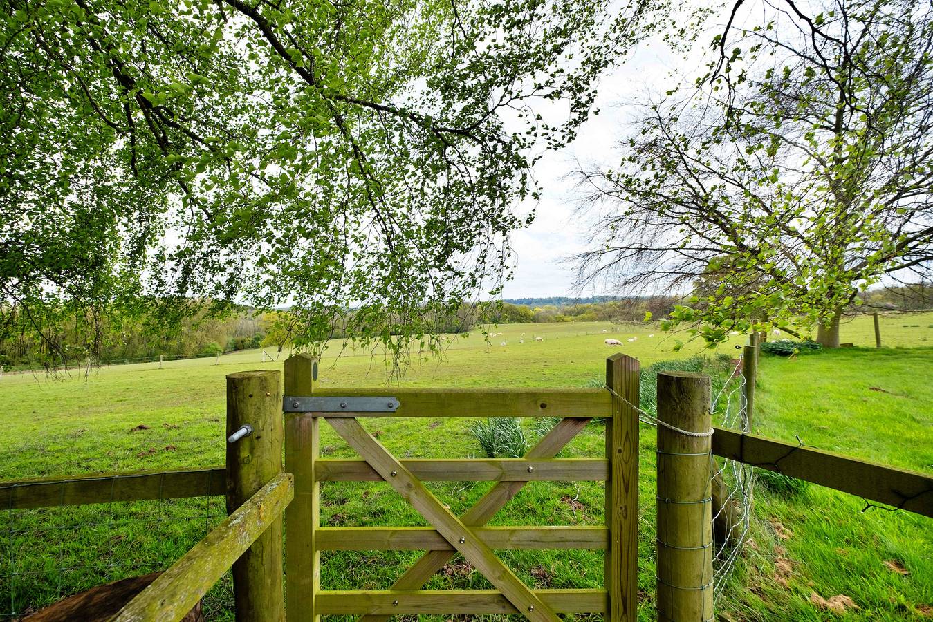 Entire holiday apartment, Hay and Hedgerow Glamping in Shropshire