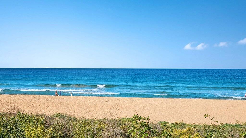 Dandaloo Cottage - direkt am Strand in North Avoca, New South Wales