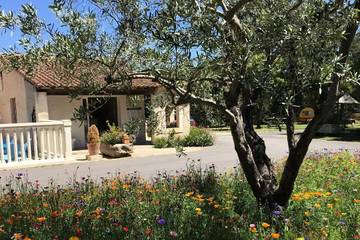Mobil home pour 2 personnes, avec piscine et terrasse à Saint-Rémy-de-Provence