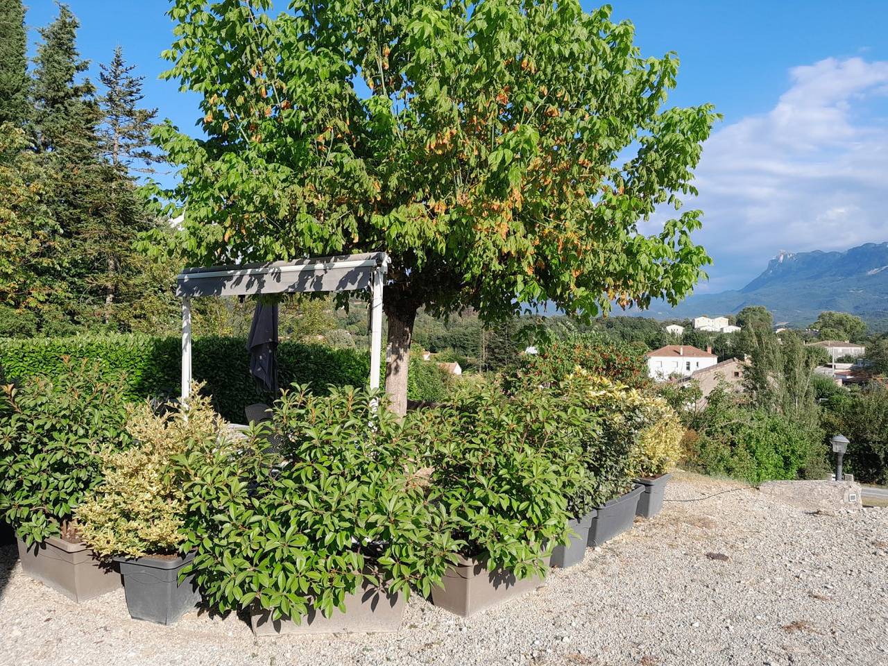 Gîte "Le Petit Bois" in Mirabel-et-Blacons, Région de Die