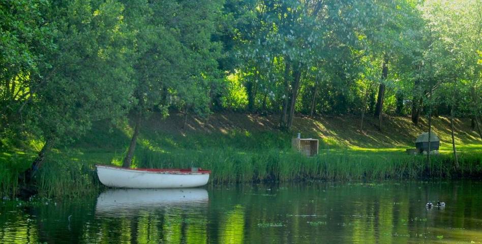 Hôtel pour 2 personnes, avec jardin et vue sur le lac à Étauliers - 4
