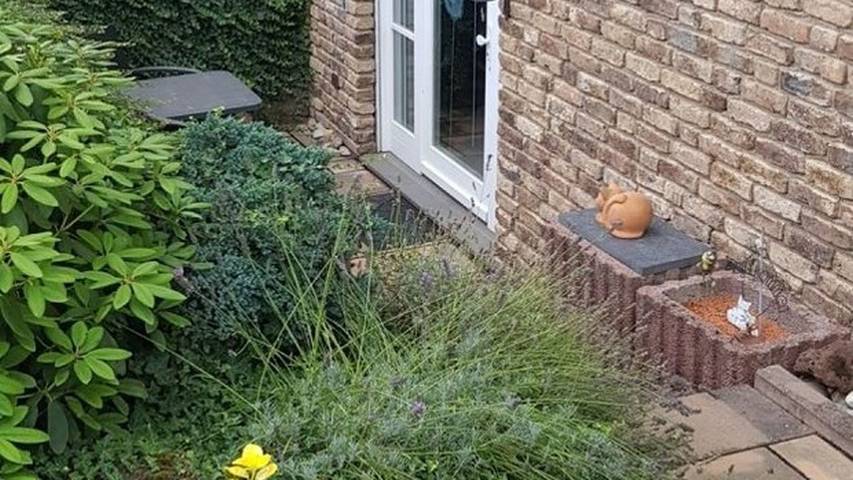 Ferienwohnung für 2 Personen, mit Terrasse in Rheinbach