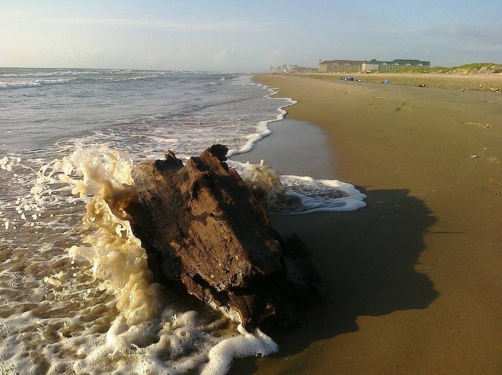 Ganze Wohnung, Von der Spitze der Palmen in South Padre Island, Laguna Madre
