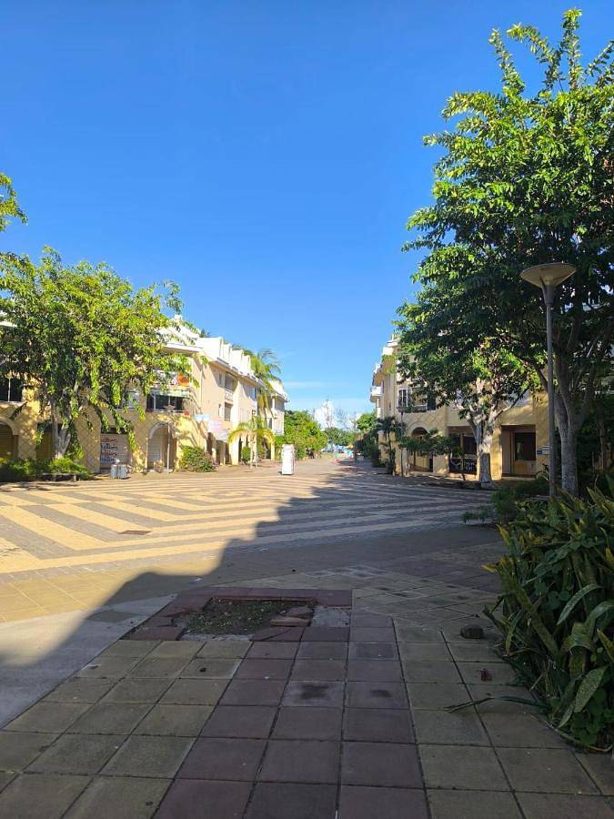 Gîte pour 3 personnes, avec jardin dans Plage de l'Hermitage - 2