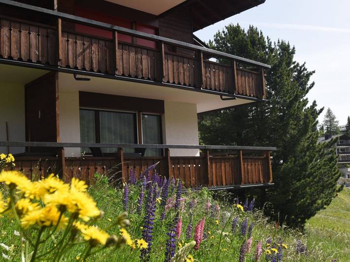 Hütte für 4 Personen, mit Balkon und Terrasse sowie Garten in Arosa - 3
