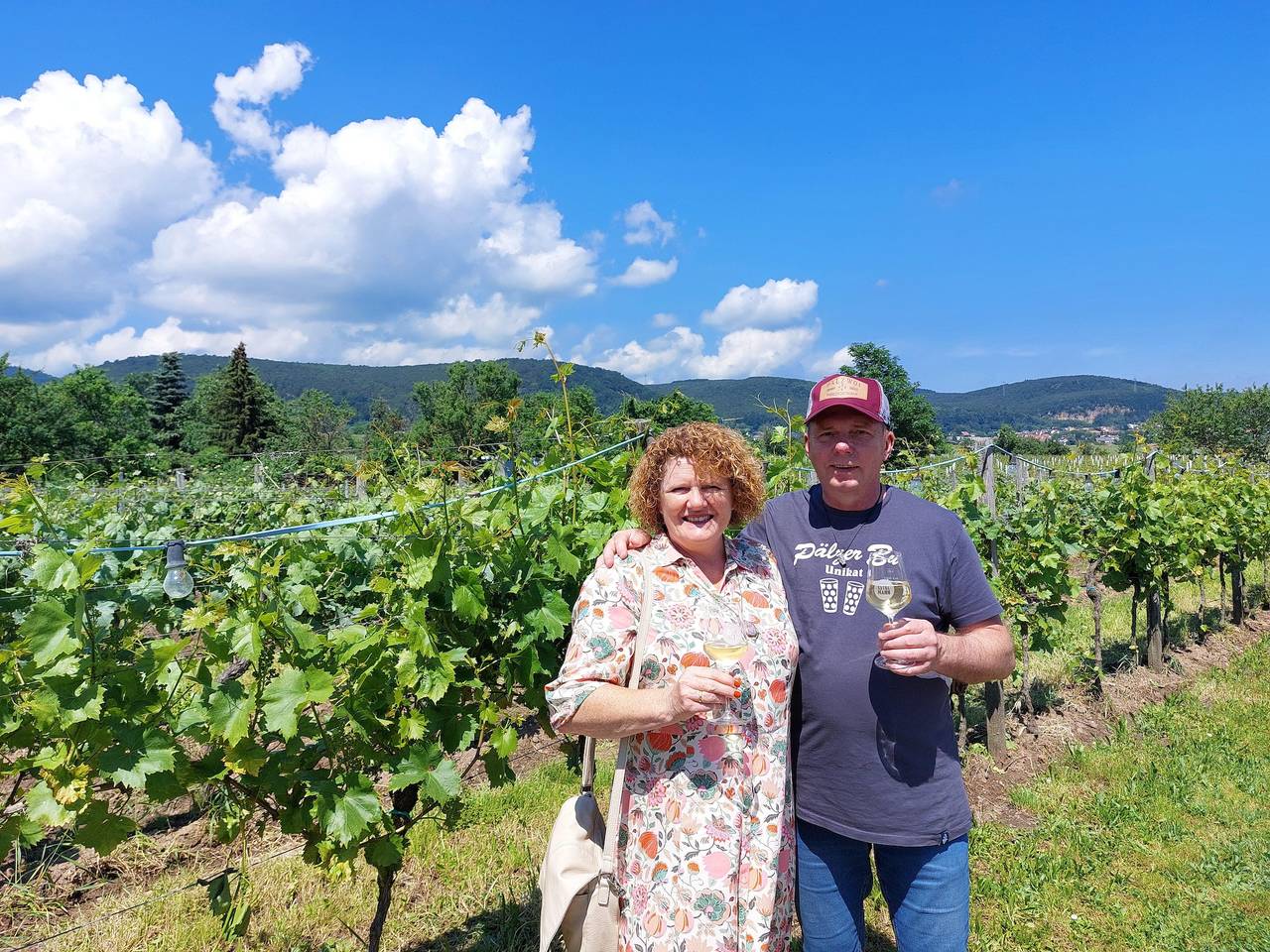 Ganze Ferienwohnung, Zum Rostigen Ritter in Neustadt an der Weinstraße, Pfälzer Rheinebene
