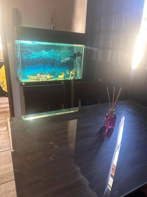 Gîte pour 3 personnes, avec vue dans Venda Nova - 3