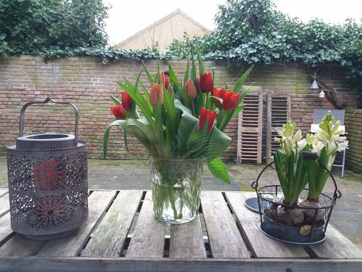 Ferienhaus für 5 Personen, mit Terrasse in Biggekerke - 3