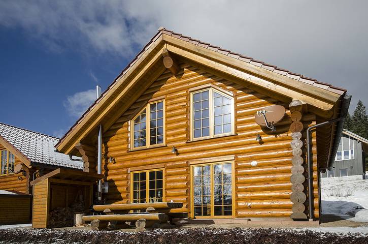 Ferienhaus für 14 Personen, mit Sauna und Terrasse sowie Balkon/Terrasse, mit Haustier in Feldberg - 3