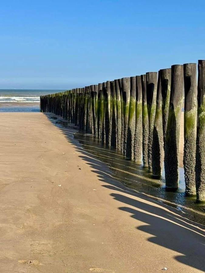 Ganze Wohnung, La Descenderie - Bord de mer in Sangatte, Calais und Umgebung