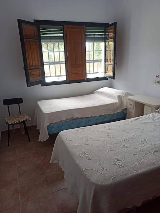 Gîte pour 12 personnes, avec jardin et piscine, animaux acceptés à Utrera - 2