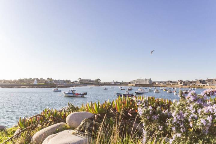 Gîte pour 5 personnes, avec terrasse à Barfleur - 3