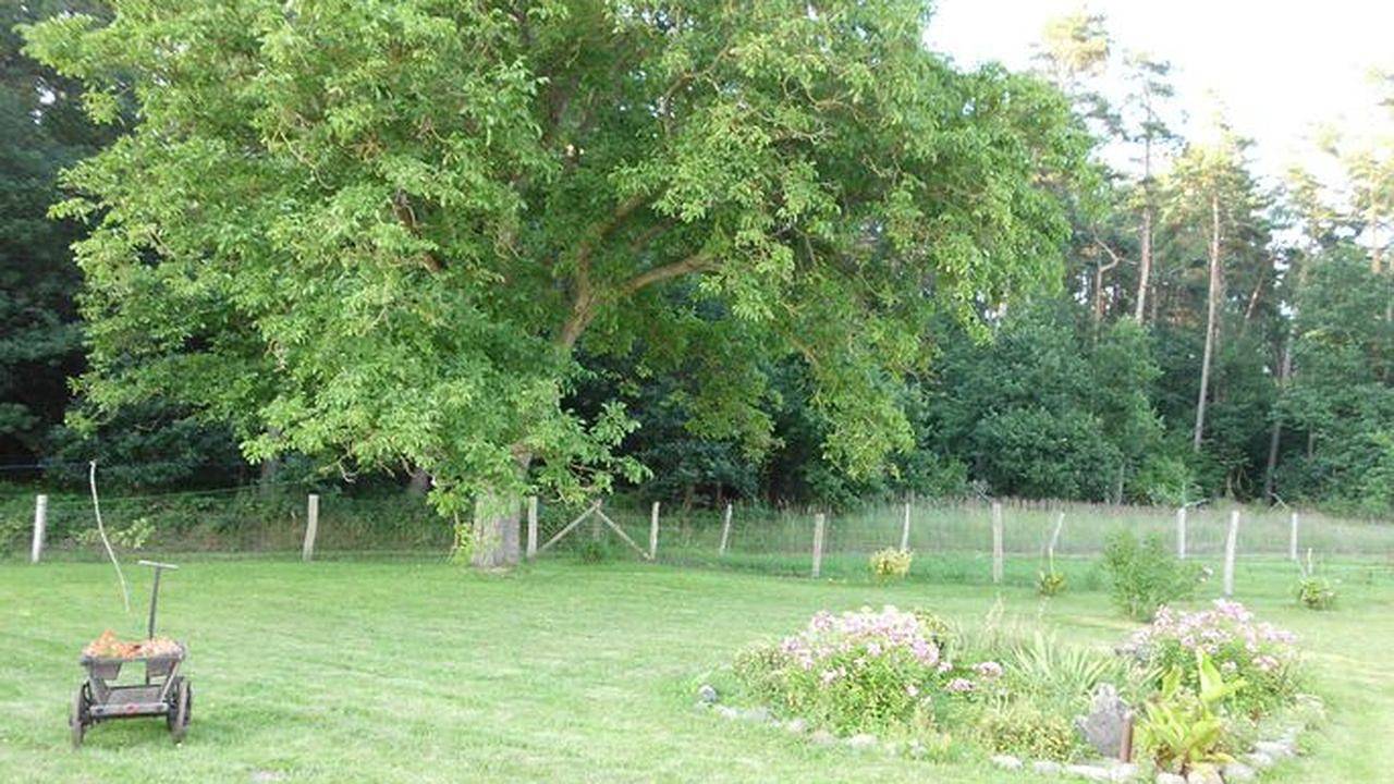 Ganze Ferienwohnung, Ferienwohnung für 4 Personen (43 m²) in Demmin in Demmin, Mecklenburgische Seenplatte