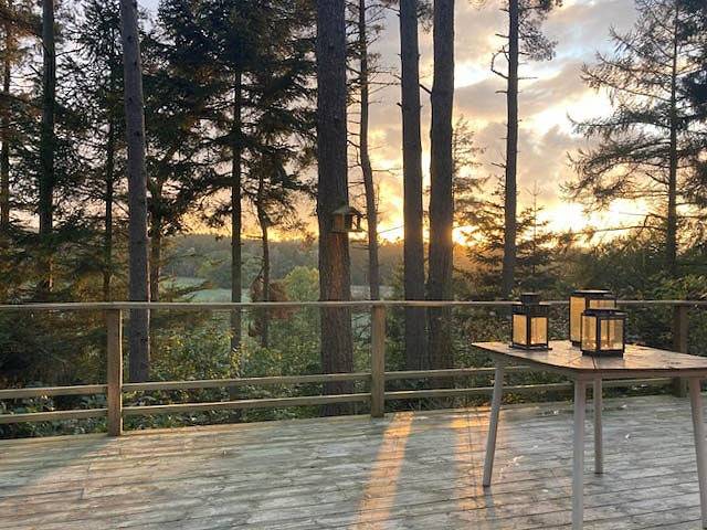 Ferienhaus für 4 Personen, mit Terrasse in Silkeborg - 2