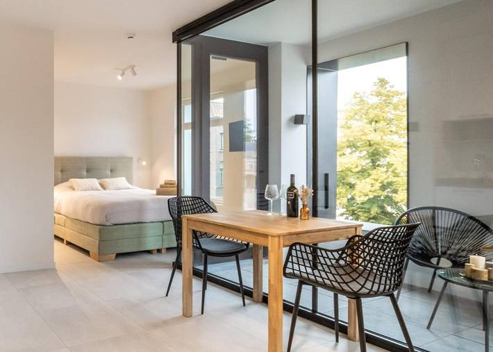 Appart’hôtel pour 2 personnes, avec Terrasse ainsi que Vue et Vue sur le lac à Malines
