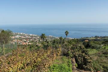 Casa Vacacional para 4 Personas en Santa Cruz de La Palma, La Palma Norte, Foto 1