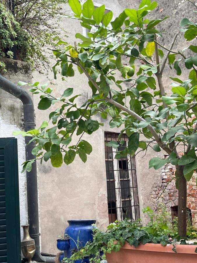 Maison d’hôte pour 3 personnes, avec terrasse, animaux acceptés à Crema - 3