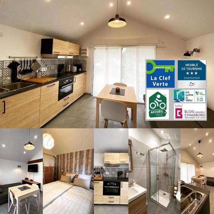 Location de vacances pour 4 personnes, avec piscine ainsi que jardin et jacuzzi, adapté aux familles à Chouzy-sur-Cisse - 3