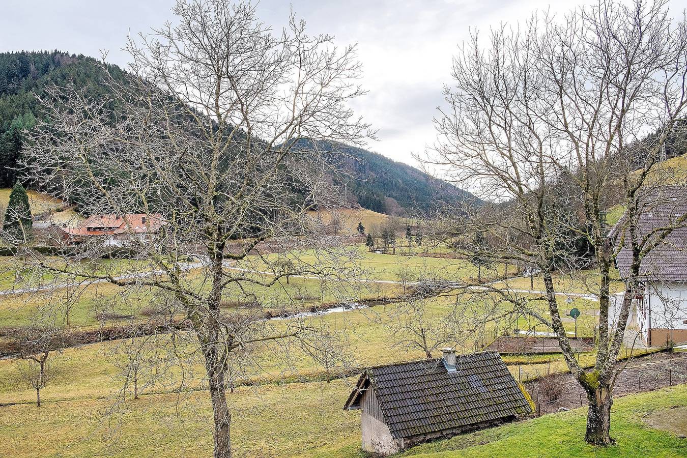 Ganze Wohnung, Ferienwohnung 'Elzblick' mit Gemeinschaftspool, Gemeinschaftsgarten und Wlan in Elzach, Mittlerer Schwarzwald