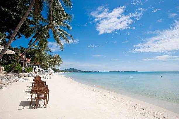 Maison d’hôte pour 2 personnes, avec terrasse et vue dans Koh Samui