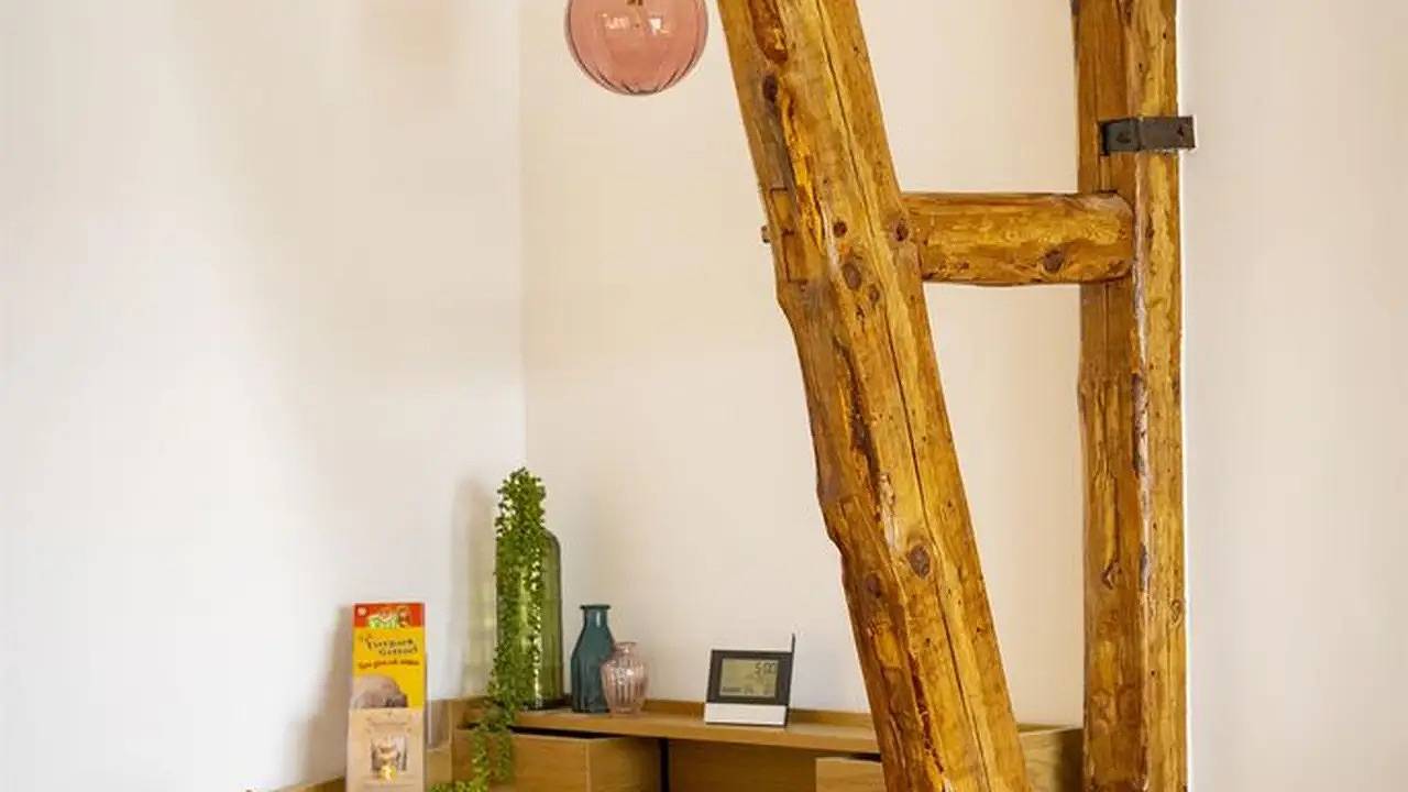 Ganze Ferienwohnung, Ferienwohnung für 3 Personen (70 m²) in Bad Segeberg in Bad Segeberg, Kreis Segeberg