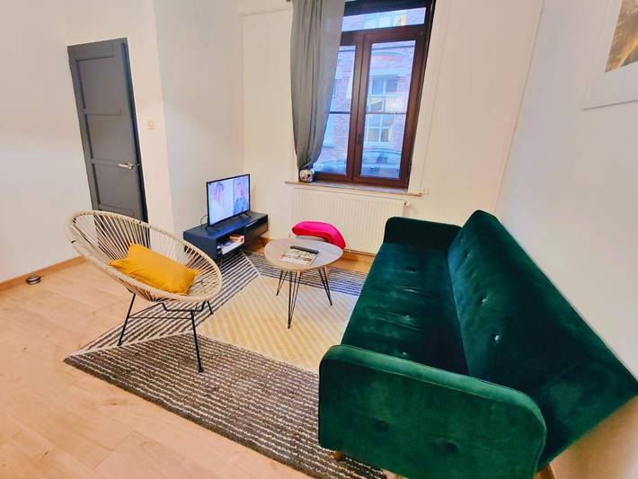 Location de vacances pour 7 personnes, avec Terrasse à Lambersart