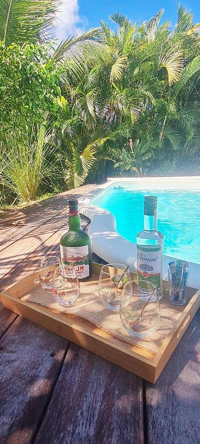 Location de vacances pour 6 personnes, avec piscine et jardin dans Baignoire de Joséphine - 3