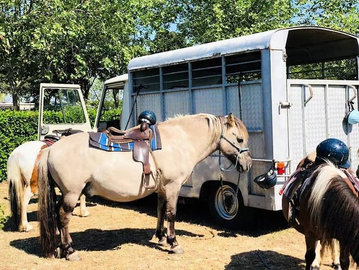 Mobil home pour 6 personnes, avec terrasse et piscine à Saint-Vincent-sur-Jard - 4
