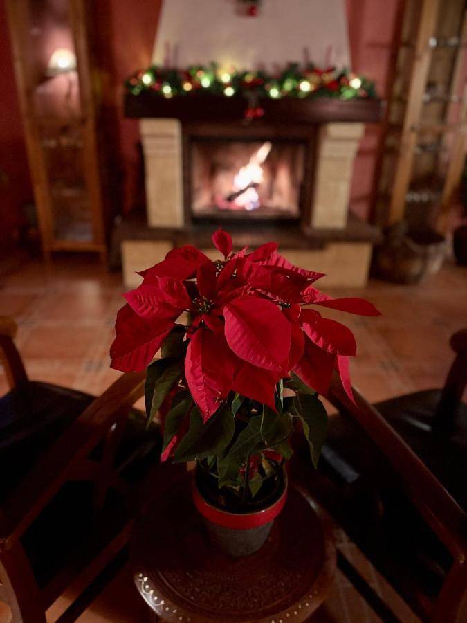 Hôtel pour 2 personnes, avec piscine ainsi que vue et jardin à Sigüenza - 3