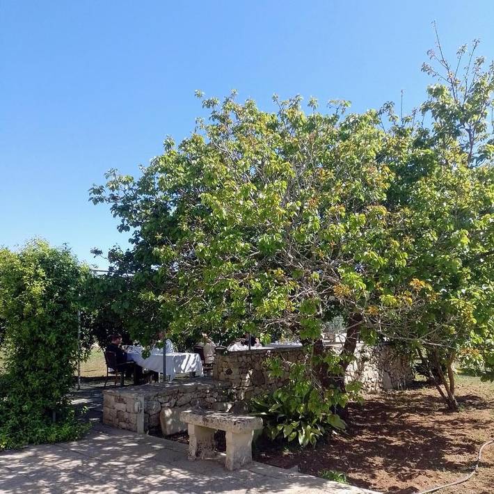 Location de vacances pour 2 personnes, avec jardin et vue à Martano - 4
