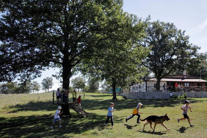 Camping per 4 persone, con giardino, con animali domestici in Gargano